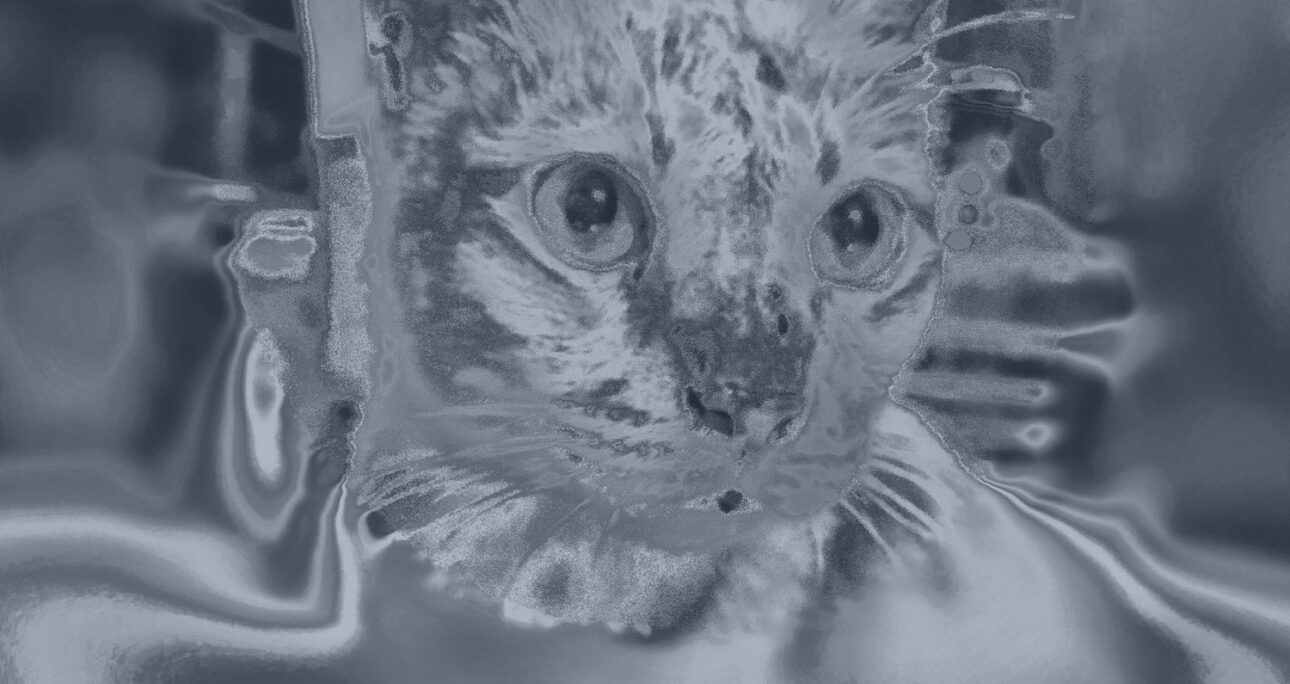 Psychedelic and Transcendental Aesthetics: Shaping Digital Experiences and Consumption