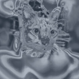 Estéticas Psicodélicas y Trascendentales: Moldeando Experiencias y Consumo Digital